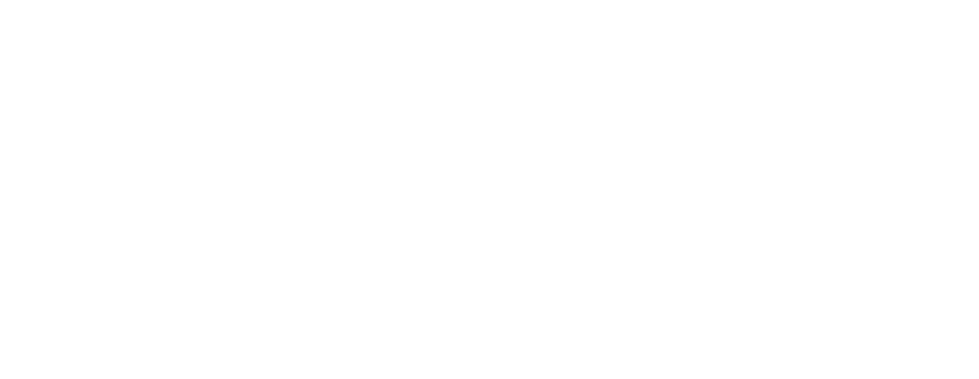 Logo Mindensnapshots Photography